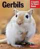 Gerbils (Complete Pet Owner