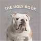 The Ugly Book, Andrew Davies 