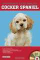Cocker Spaniels (Barron