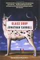 Glass Soup, Jonathan Carroll 