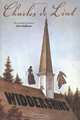 Widdershins, Charles De Lint 