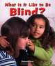 What Is It Like to Be Blind? (Overcoming Barriers), Deborah Kent 