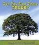 Can You Find These Trees? (All about Nature), Carmen Bredeson, Lindsey Cousins 
