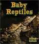 Baby Reptiles (It