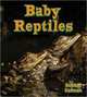 Baby Reptiles (It