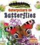 Caterpillars to Butterflies (It