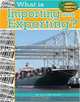 What Is Importing and Exporting? (Economics in Action), Carolyn Andrews 