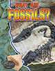 What Are Fossils? (Let