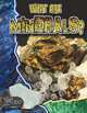 What Are Minerals? (Let