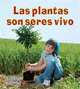Las plantas son seres vivos (Introduccion a Los Seres Vivos), Bobbie Kalman 