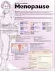 Understanding Menopause Anatomical Chart, 