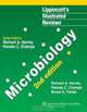 Lippincott