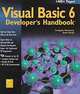 Visual Basic 6 Developer