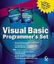 Visual Basic Programmer