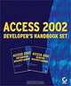 Access 2002 Developer