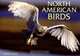 North American Birds, Patrick Hook 