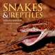 Snakes & Other Reptiles: Includes America