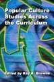 Popular Culture Across the Curriculum: Essays for Educators, 