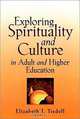 Exploring Spirituality and Culture in Adult and Higher Education (Jossey-Bass Higher and Adult Education Series), Elizabeth J. Tisdell 