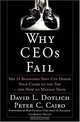 Why CEO