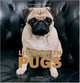 Living with Pugs, Katharina von der Leyen 