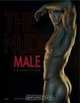The Nude Male: 21st Century Visions, David Leddick 