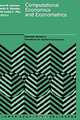 Computational Economics and Econometrics (Advanced Studies in Theoretical and Applied Econometrics, Vol 22), Hans M. Amman, David A. Belsley, Louis F. Pau 