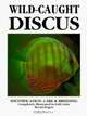 Wild-Caught Discus, Bernd Degen 