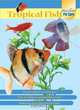 Tropical Fish, 