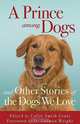 Prince among Dogs, A: and Other Stories of the Dogs We Love, 