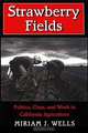 Strawberry Fields: Politics, Class, and Work in California Agriculture (Anthropology of Contemporary Issues), Miriam J. Wells 