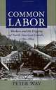 Common Labor: Workers and the Digging of North American Canals 1780-1860, Peter Way 