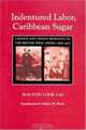 Indentured Labor, Caribbean Sugar : Chinese and Indian Migrants to the British West Indies, 1838-1918 (Johns Hopkins Studies in Atlantic History and Culture), Walton Look Lai 