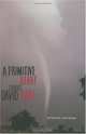A Primitive Heart : Stories, David Rabe 