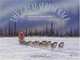 The Great Serum Race : Blazing the Iditarod Trail, Debbie S. Miller 