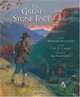 The Great Stone Face, Gary D. Schmidt 