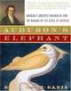 Audubon