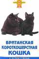Британская короткошерстная кошка, Ева-Мария Гетц, Гезине Вольф 