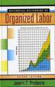 Historical Dictionary of Organized Labor (Historical Dictionaries of Religions, Philosophies and Movements), James C. Docherty 