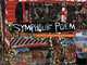 Symphonic Poem : The Art of Aminah Brenda Lynn Robinson, Carole Miller Genshaft 