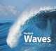 Perfect Waves: The Endless Allure of the Ocean, 