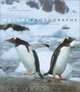 Nature Photography (Learning from a Master), Denis Boyard 