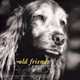 Old Friends: Great Dogs on the Good Life, Mark J. Asher 