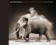 On This Earth: Photographs from East Africa, Nick Brandt 