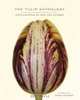 Tulip Anthology, 