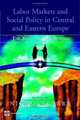 Labor Markets And Social Policy In Central And Eastern Europe: The Accession And Beyond, 
