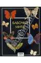 Бабочки мира. Издание 2-е, стереотипное, Эд Ален 