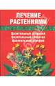 Лечение растениями: Целительный зверобой; Целительный чистотел; Целительный шалфей. Книжка-малышка, Салихова Сания Рызанова 