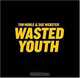 Wasted Youth, Tim Noble, Sue Webster 