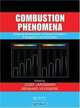 Combustion Phenomena: Selected Mechanisms of Flame Formation, Propagation and Extinction, Jozef Jarosinski, Bernard Veyssiere 